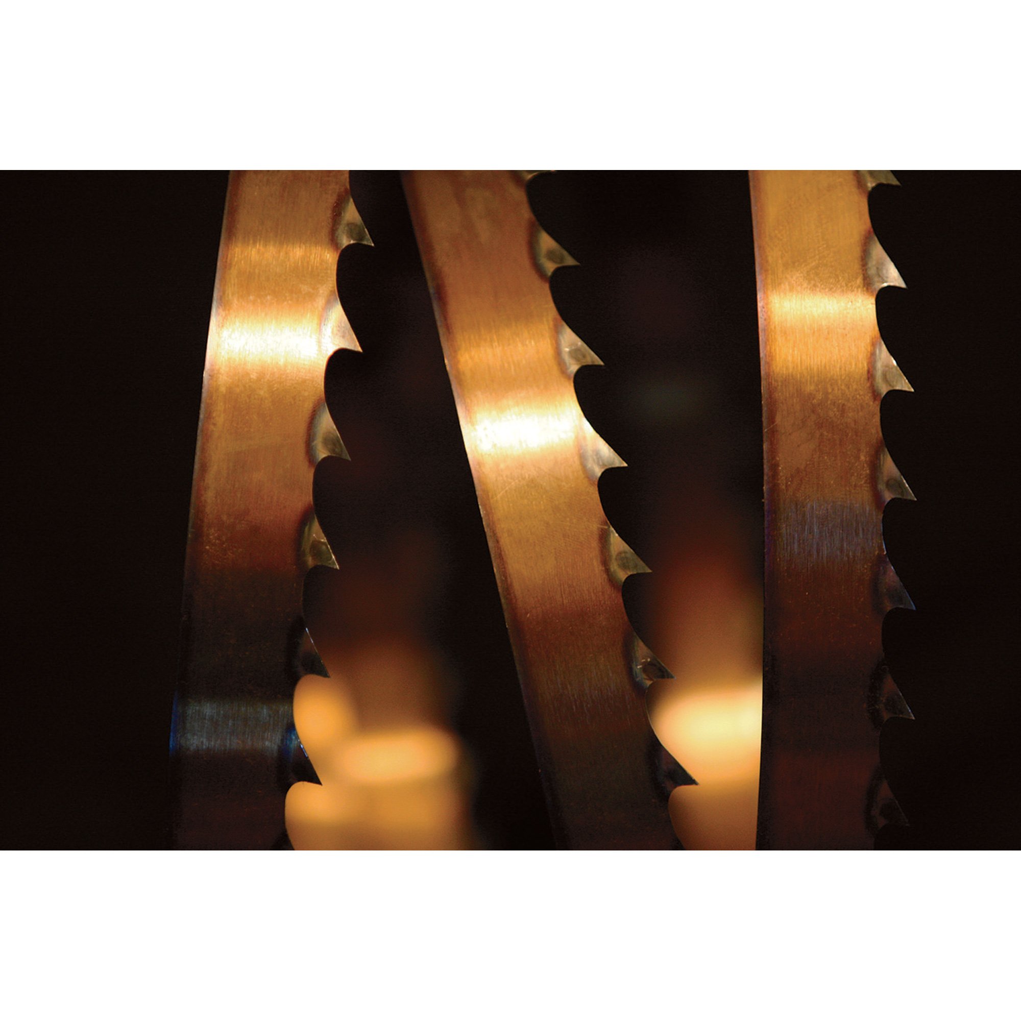 Norwood Sabretooth Band Saw Blades — 144in., Pack of 10